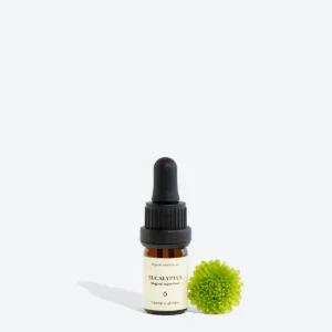 EUCALYPTUS essential oil